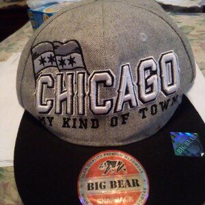 Chicago My Kind of Town Gray Cap Black Bill Big Bear NEW tag attached